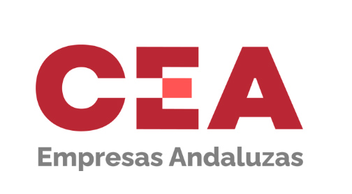 Redes VPN y WIFI profesional cea